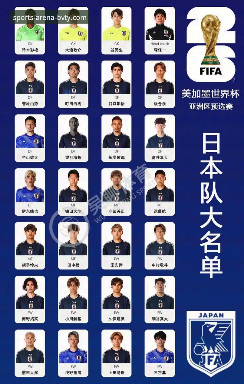 世预赛生死战必备知识：瑞典中场贝里瓦尔带伤拼下世界杯门票，BVTY体育平台带你复盘实战细节